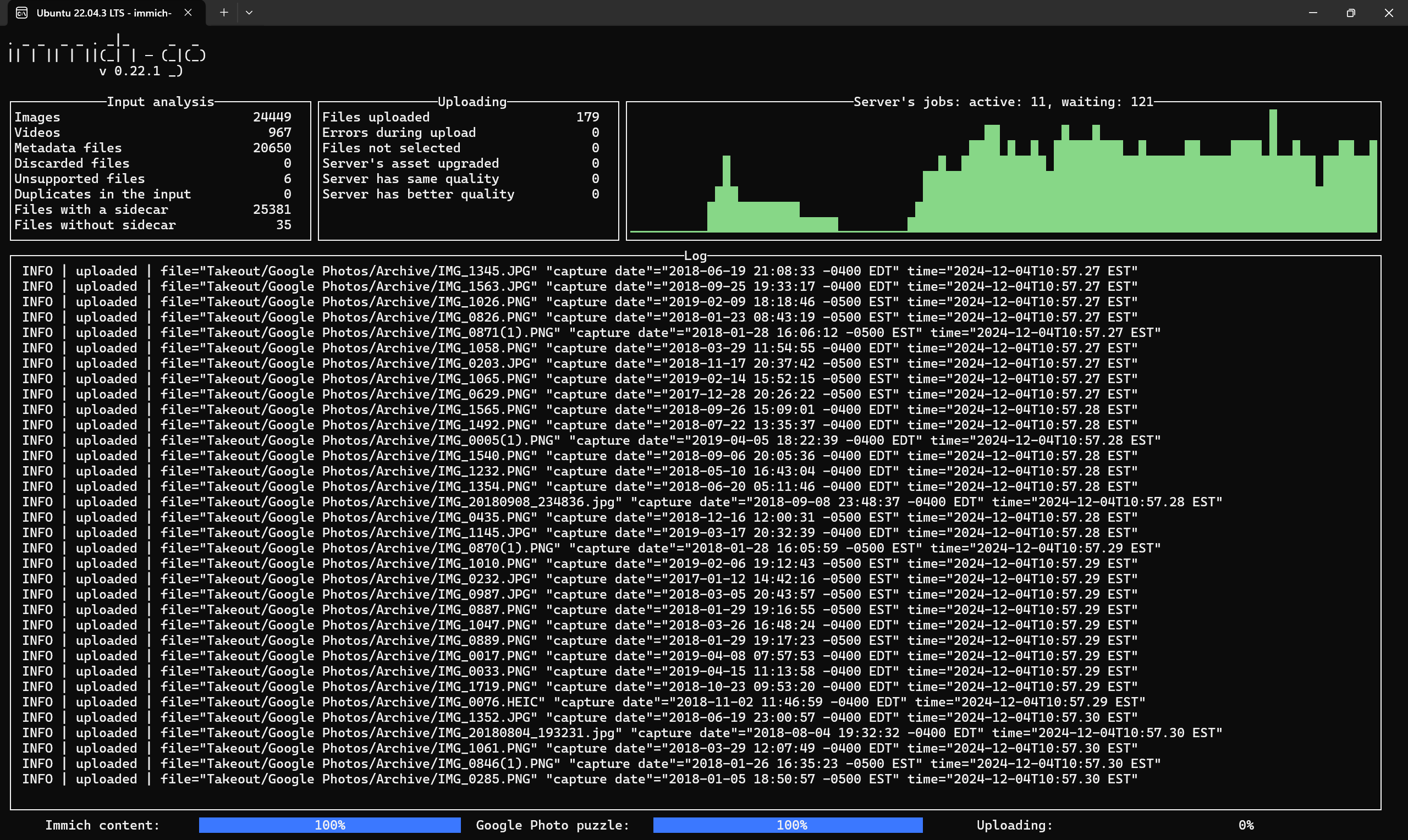 Immich go script running on Windows 11