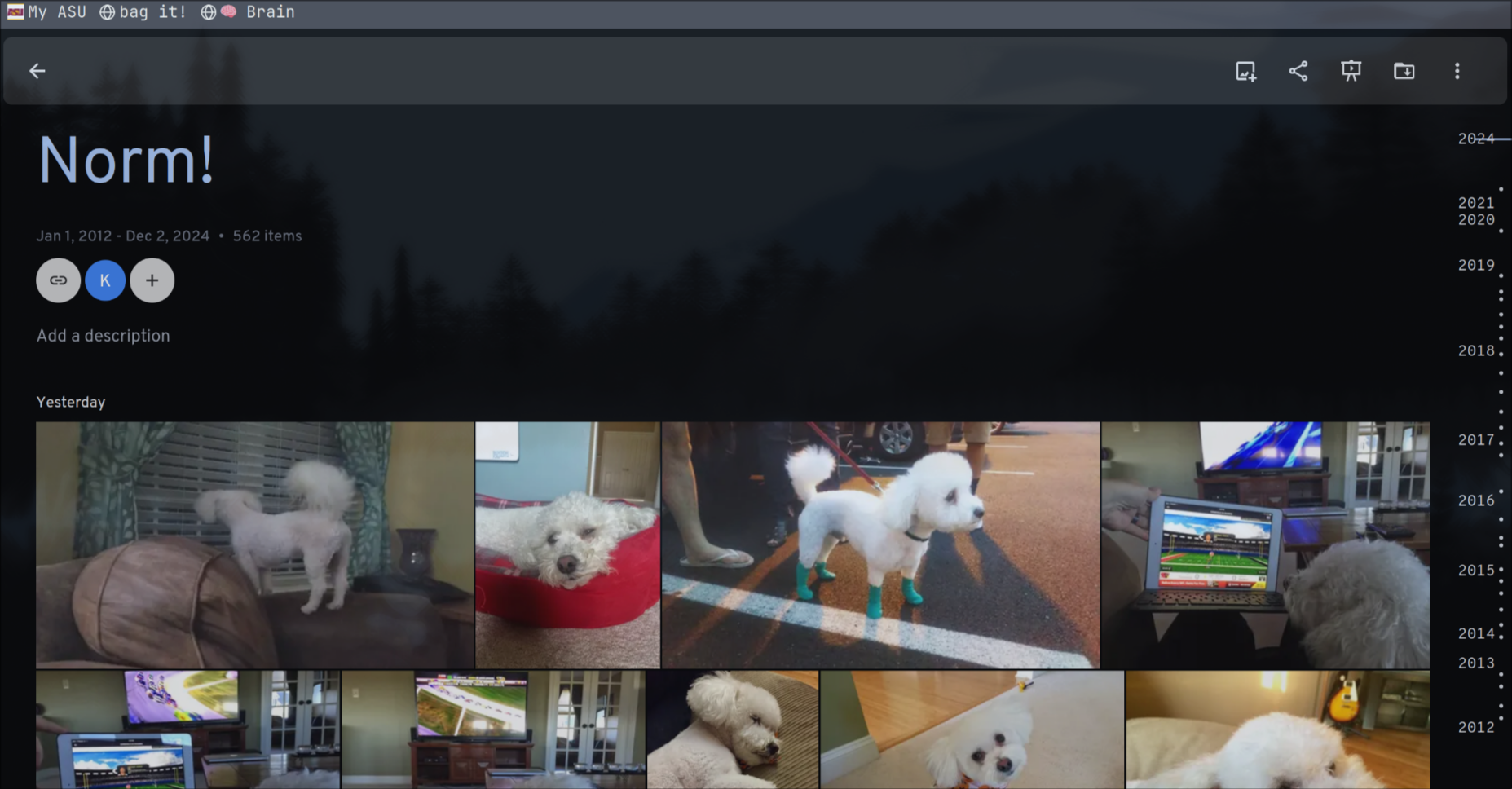 A photo album of our dog, Norm, on my Immich server